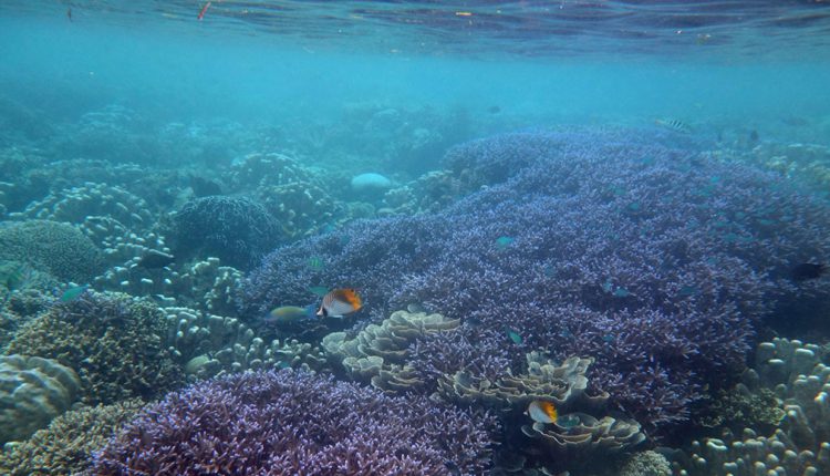 Taman Laut Bunaken