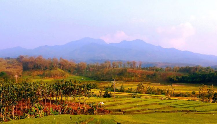 Gunung Wilis
