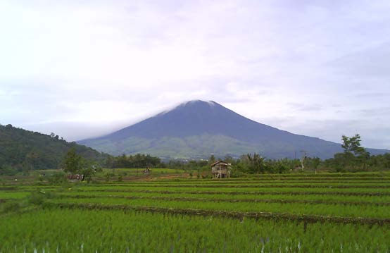 Image Result For Pulsa Murah Di Pagar Gunung Image Result For Pulsa Murah Di Pagar Gunung