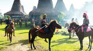 Parade Sandelwood dan Tenun Ikat Sumba @ Sumba, NTT | East Nusa Tenggara | Indonesia