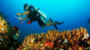 Festival Pulo Dua @ Kabupaten Banggai