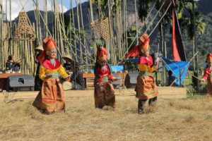 Pasa Harau Art & Culture Festival 2019 @ Lemba Harau, Lima Puluh Kota