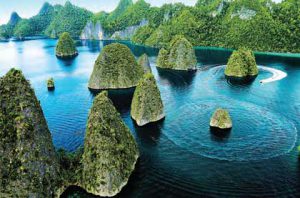 Festival Pesona Bahari Raja Ampat @ Papua Barat