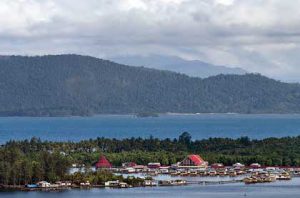 Festival Teluk Humboldt @ Papua